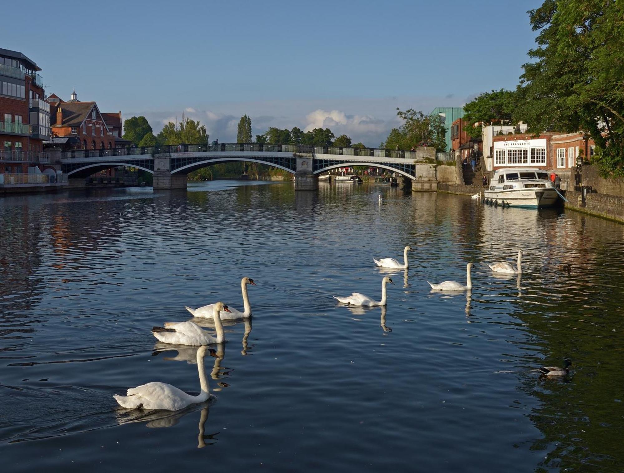 Top Floor En-Suite Double Bedrooms With Great View Of Windsor Castle & Free Parking Extérieur photo